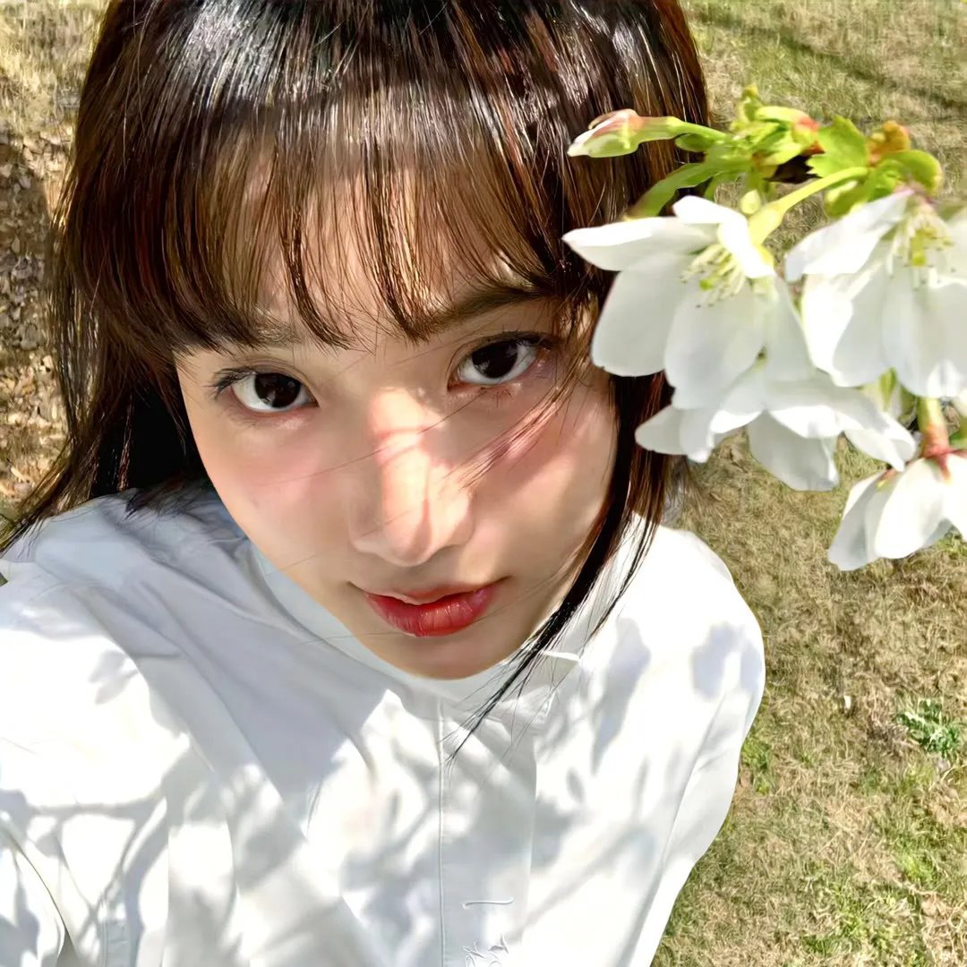 第二梦